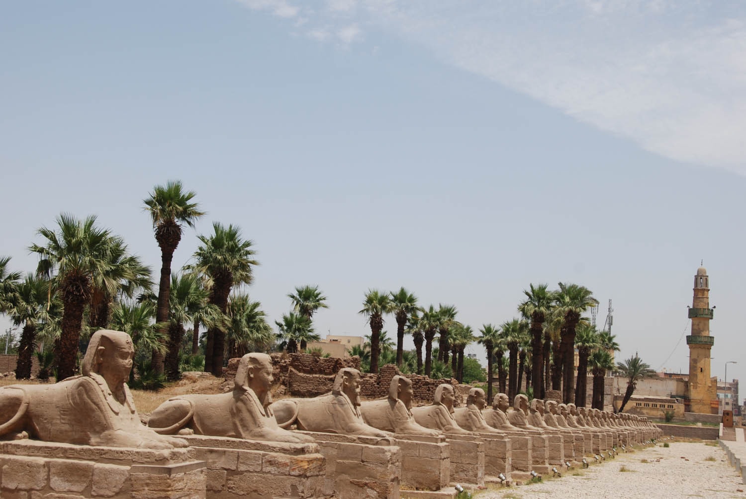 L'allé des sphinx entre Karnak et Louxor