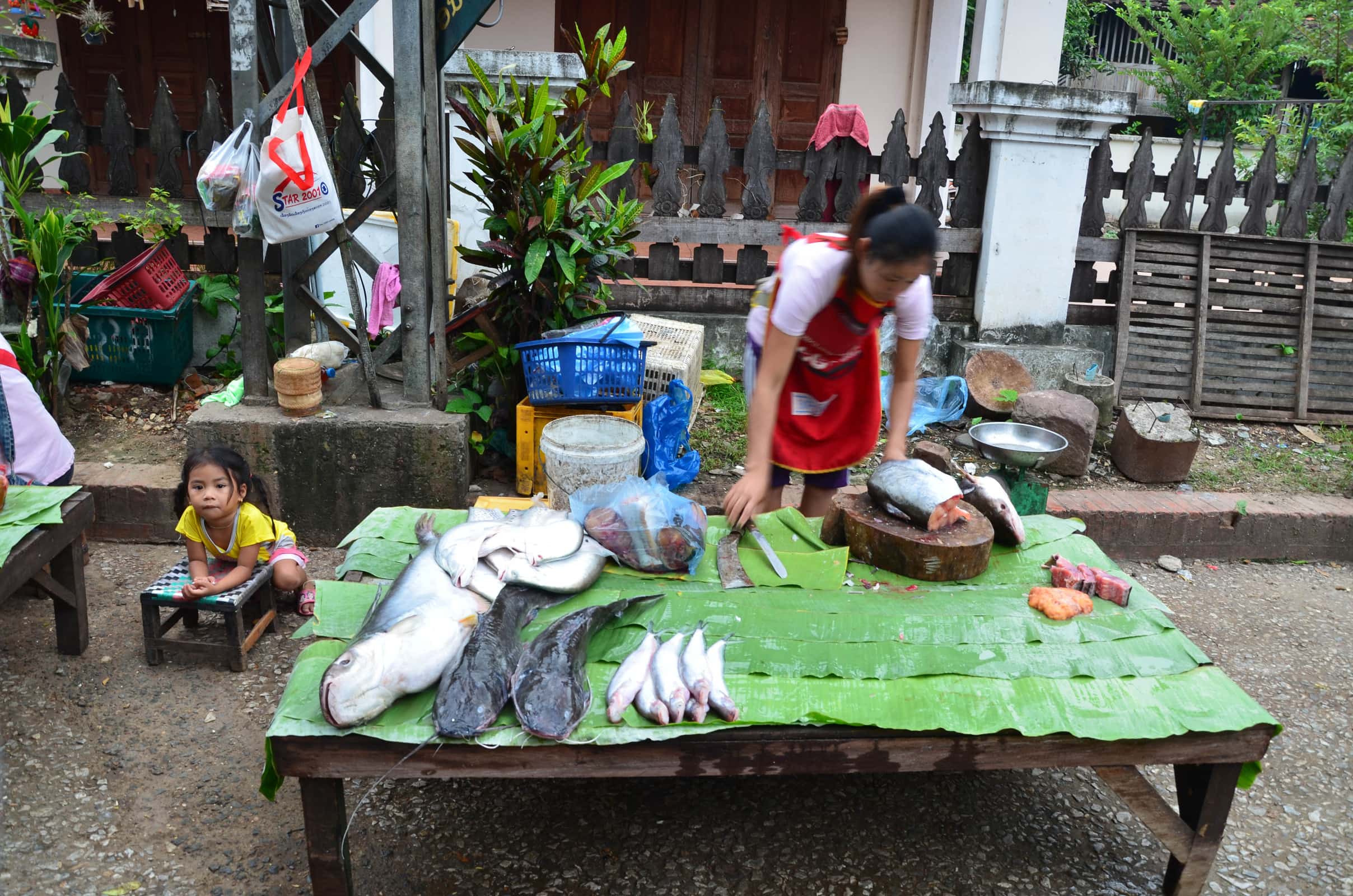 Laos 2018 : marché Luang Prabang