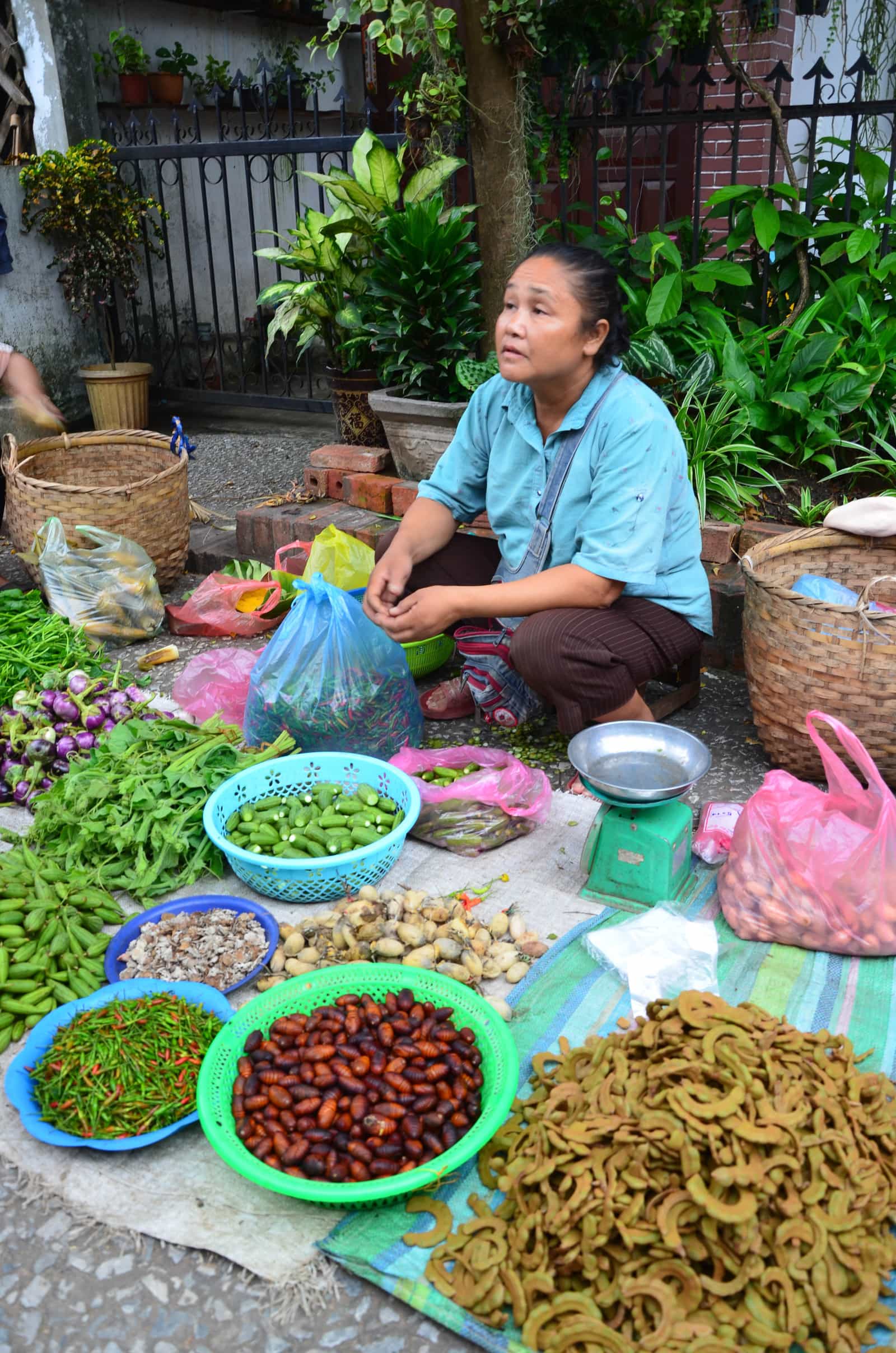 Laos 2018 : marché Luang Prabang